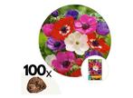 Anemoon bloembollen de Caen Mix - mix van 100 bollen, Huis en Inrichting, Kamerplanten, Verzenden