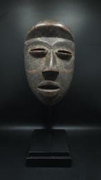 prachtig masker - Dan - Ivoorkust (Zonder Minimumprijs), Antiek en Kunst