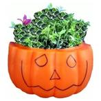 Pompoen plantenbak, Verzenden, Nieuw