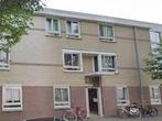 Huis Molenaarstraat in Den Haag, Overige soorten, Zuid-Holland