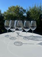 Champagneglas (6) - Dom Pérignon High Energy XL door, Verzamelen, Nieuw