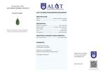 Geen minimumprijs - ALGT-gecertificeerd - Exclusieve, Verzamelen