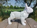 Beeld, French bulldog white garden or for indoor - 39 cm -, Antiek en Kunst