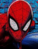 David Law - Crypto Spiderman XI - Format XL 50x75