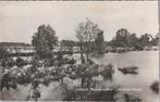 LEERSUM - Meeuwenkolonie Leersumse Plassen, Verzamelen, Ansichtkaarten | Nederland, Verzenden, Gelopen