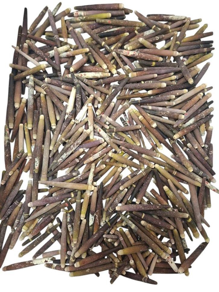 Zeeegel Pennen 1 kilo, Hobby en Vrije tijd, Knutselen, Nieuw, Ophalen of Verzenden