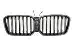 LED Sport Grille Glanzend Zwart voor BMW X3 X4 G01 G02 LCI v, Ophalen of Verzenden