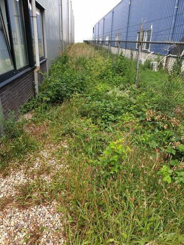 Ruwterrein maaien , achterstallig onderhoud , hovenier beschikbaar voor biedingen