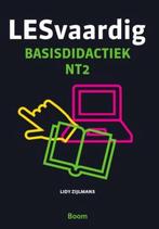 9789461058614 Lesvaardig Lidy Zijlmans, Verzenden, Nieuw, Lidy Zijlmans