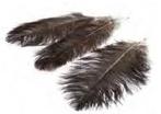Struisvogel veren Bruin  40-45 cm 3 stuks Ostrich feather, Nieuw, Ophalen of Verzenden