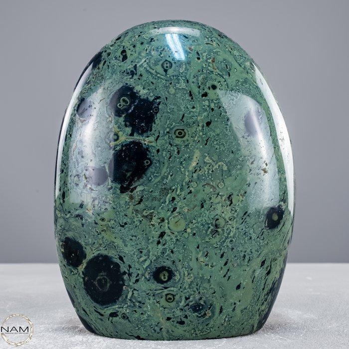 Natuurlijke Kambaba-vrije vorm Het groene fossiel van het, Verzamelen, Mineralen en Fossielen