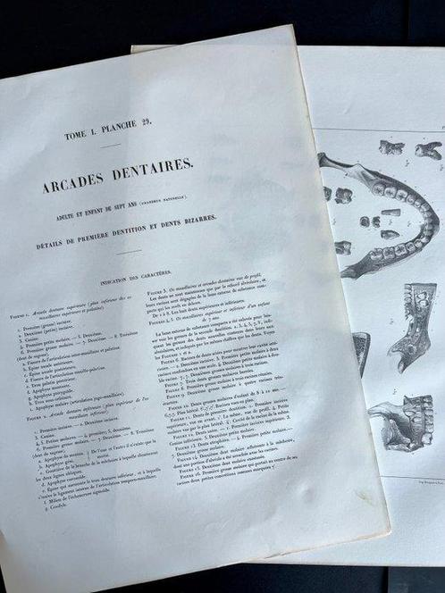 Lesmateriaal - Nicolas-Henri Jacob & Jean Baptiste Marc, Antiek en Kunst, Antiek | Wandborden en Tegels