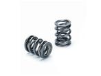 Supertech Toyota 4AGE 16V Dual Valve Spring - Set of 16 -, Auto-onderdelen, Ophalen of Verzenden, Nieuw