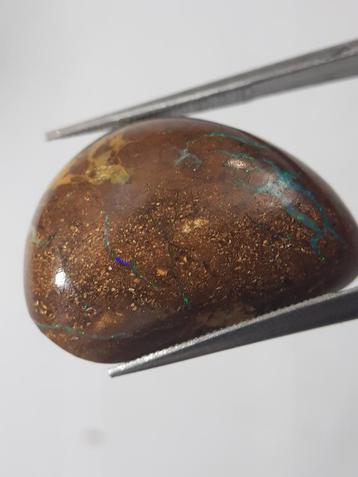 Natural yellow and blue Winton Matrix Boulder Opal - 16.91 c beschikbaar voor biedingen