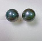 Zonder minimumprijs - Oorbellen - 18 karaat Geel goud Parel, Nieuw