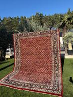 Indo Bidjar - Tapijt - 350 cm - 250 cm, Nieuw
