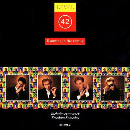 cd - Level 42 - Running In The Family, Cd's en Dvd's, Cd's | Overige Cd's, Zo goed als nieuw, Verzenden