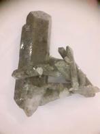 Chlorite Phantom Quartz Crystal Cluster, 91 ct, 18.20 gr, Verzamelen, Mineralen en Fossielen