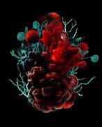 Elena Paraskeva - Blooms Of The Atrium #2, Antiek en Kunst