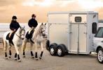 Ifor Williams | Paardentrailers uit voorraad leverbaar, Dieren en Toebehoren, Paarden en Pony's | Trailers en Aanhangwagens, Nieuw