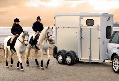Ifor Williams | Paardentrailers uit voorraad leverbaar, Dieren en Toebehoren, Paarden en Pony's | Trailers en Aanhangwagens, Overige typen