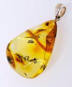 Baltische barnsteen hanger met fossiele insecteninsluiting -