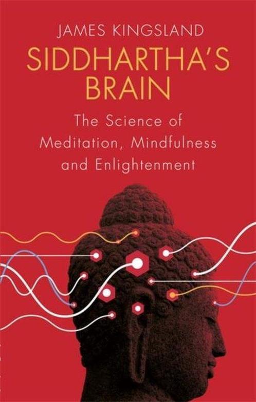 Siddharthas Brain 9781472136343 James Kingsland, Boeken, Taal | Engels, Gelezen, Verzenden