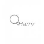 Cool car keyrings - Auto sleutelhanger met naam Harry, Verzamelen, Ophalen of Verzenden, Nieuw