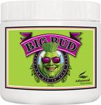 Advanced Nutrients Big Bud Powder 500 gram, Ophalen of Verzenden, Nieuw