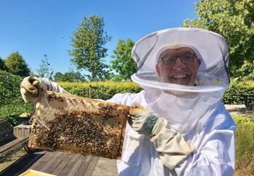 Zachtaardig Carnica Bijenvolk - vitale F1 bijenvolken beschikbaar voor biedingen