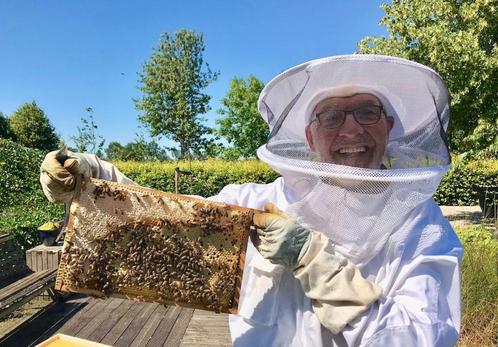Zachtaardig Carnica Bijenvolk - vitale F1 bijenvolken, Dieren en Toebehoren, Insecten en Spinnen, Bijen