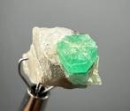Smaragd Kristal- 11.2 t - (1), Verzamelen, Mineralen en Fossielen