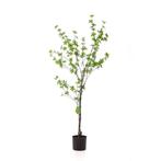 Kunstplant - Tropaeolum Speciosum - Oost Indische Kers - 150, Verzenden, Nieuw