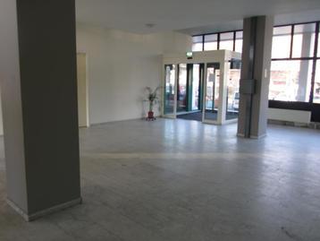 Kamer te huur in s-Gravenhage - 22 m² - 1 kamer(s) beschikbaar voor biedingen