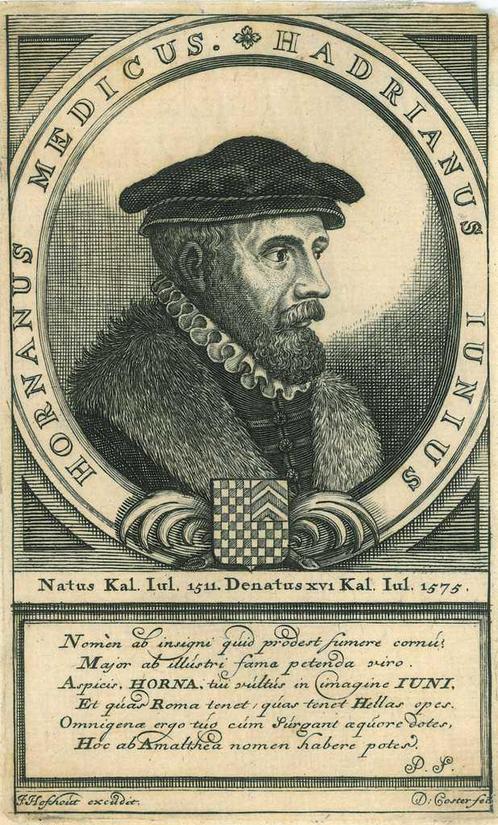 Portrait of Hadrianus Junius, Antiek en Kunst, Kunst | Etsen en Gravures