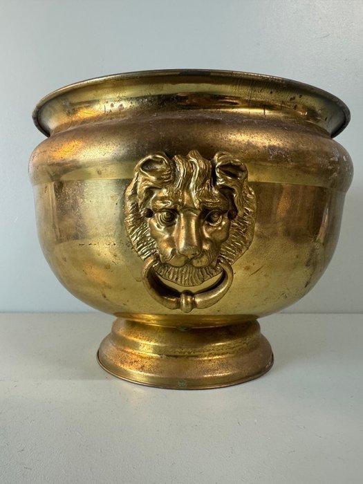 hh - Bloempot - Klassieke Messing Cachepot met Leeuwenkoppen, Antiek en Kunst, Curiosa en Brocante
