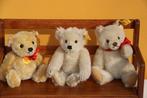 Steiff: drie Teddybeertjes, 1980-1990 - Teddybeer -, Antiek en Kunst