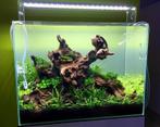 Coral wood 40-55cm aquarium decoratie hout (Hardscaping ), Dieren en Toebehoren, Vissen | Aquaria en Toebehoren, Verzenden, Nieuw
