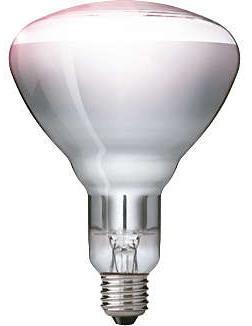 Philips Infraroodlamp E27 150W Helder warmtelamp Ø12.5cm..., Huis en Inrichting, Lampen | Plafondlampen, Nieuw, Ophalen of Verzenden