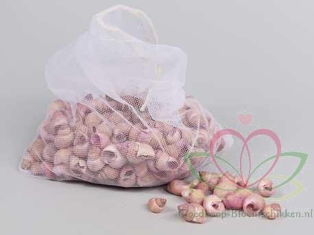 Umachi schelpen zachtroze, 250 gram, Hobby en Vrije tijd, Knutselen, Nieuw, Ophalen of Verzenden