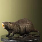Beverrat Nutria Taxidermie Opgezette Dieren By Max, Ophalen of Verzenden, Nieuw, Wild dier, Opgezet dier