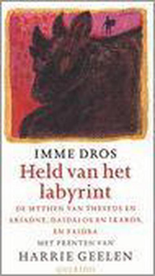 Held van het labyrint 9789045100715 Imme Dros, Boeken, Kinderboeken | Jeugd | 13 jaar en ouder, Gelezen, Verzenden