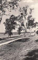 ERMELO - Bosgezicht, Verzenden, Gelopen