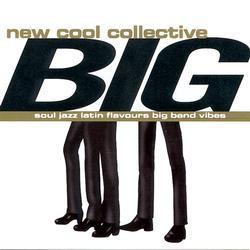 cd - New Cool Collective - Big, Cd's en Dvd's, Cd's | Overige Cd's, Zo goed als nieuw, Verzenden