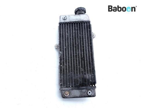 Radiateur Yamaha WR 125 X 2009-2014 (WR125X), Motoren, Onderdelen | Yamaha, Gebruikt, Verzenden