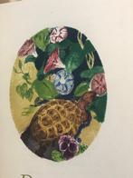 Remy Belleau / Eugène Corneau - Petites Inventions [1/170