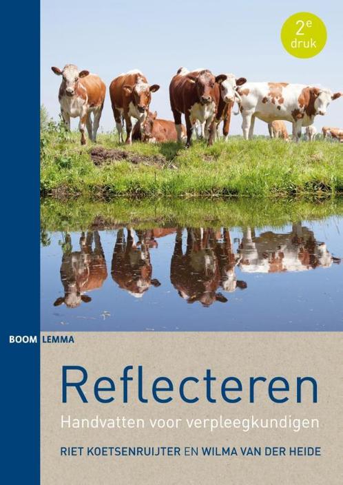 Reflecteren 9789462363939 Riet Koetsenruijter, Boeken, Wetenschap, Zo goed als nieuw, Verzenden