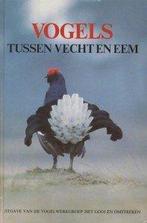 Vogels tussen Vecht en Eem 9789090018362 Dick A. Jonkers, Verzenden, Gelezen, Dick A. Jonkers
