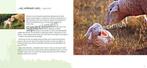 Goede Herder en psalm 23 9789059073784 Sarah Waldmann, Boeken, Verzenden, Zo goed als nieuw, Sarah Waldmann
