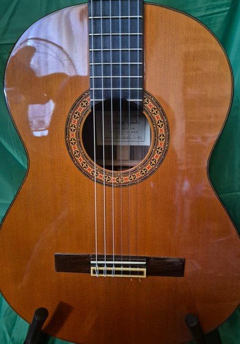 L. Aróstegui Granados - L. Aróstegui Granados - - Klassieke, Muziek en Instrumenten, Snaarinstrumenten | Gitaren | Akoestisch